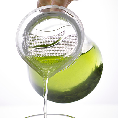 Hario Tea Pot Clear - Jolene's Tea House